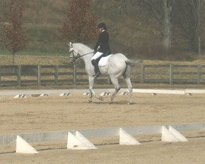 Greystone Equestrian Center 11-11-2012