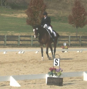 Greystone Equestrian Center 11-11-2012